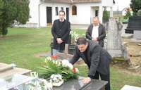 vijenci