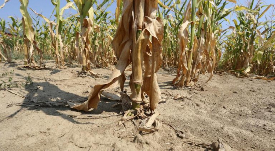 Obavijest o prijavi štete nastale uslijed prirodne nepogode suše
