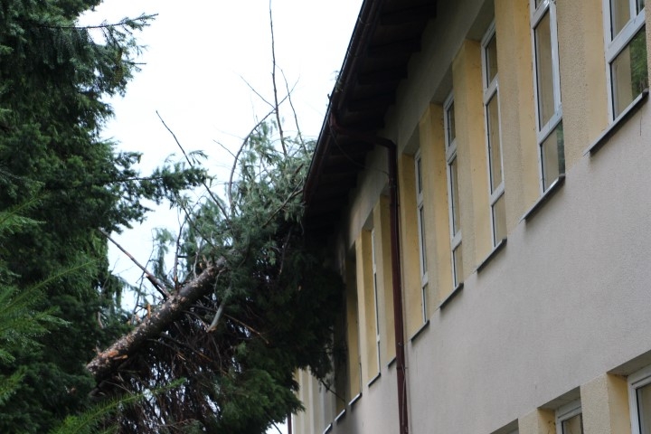Proglašenje elementarne nepogode
